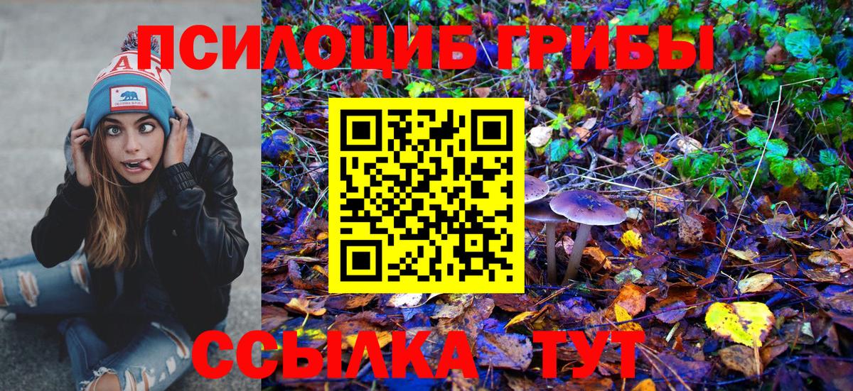 Галлюциногенные грибы Psilocybine cubensis Морозовск